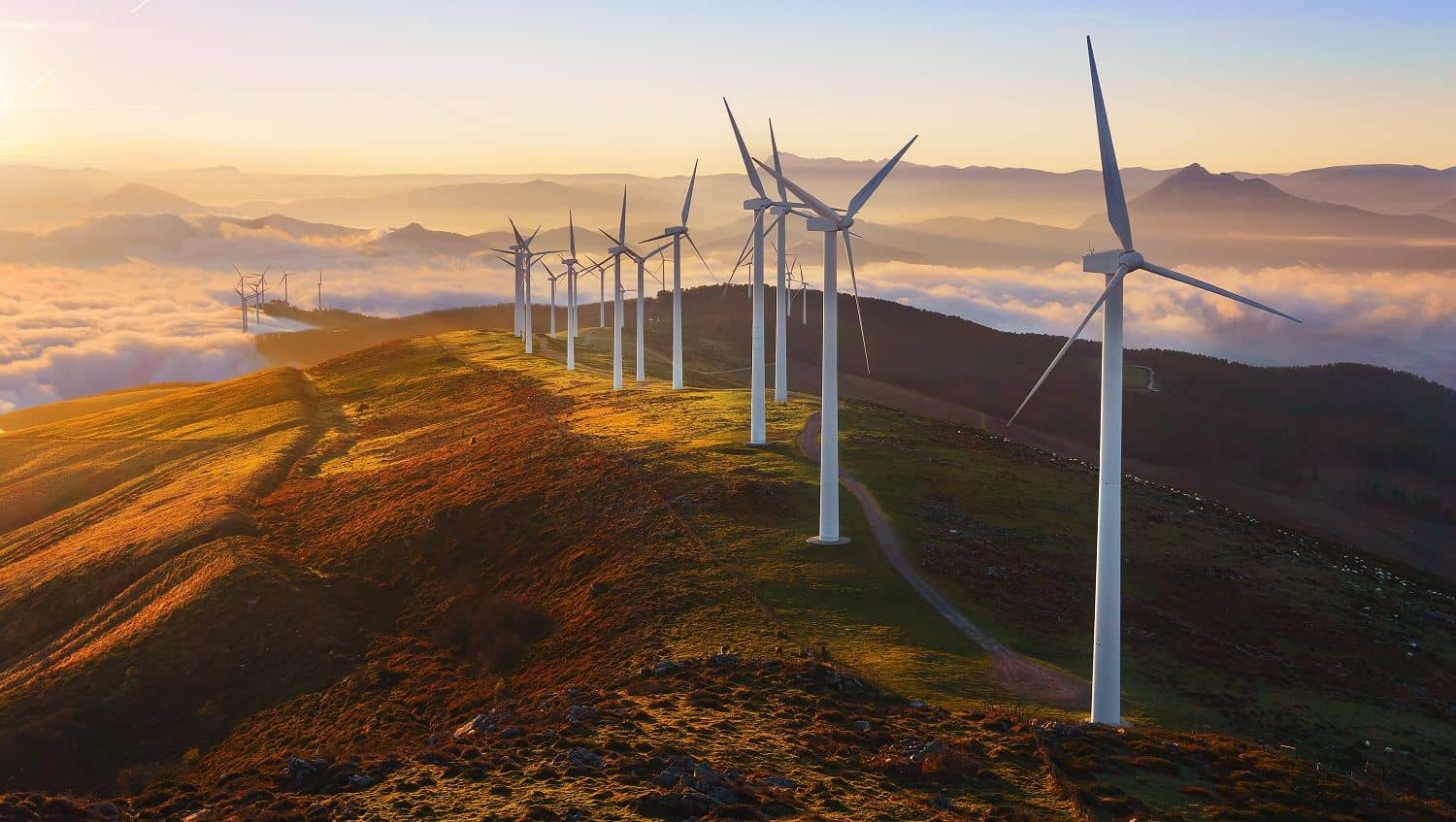 shutterstock_364049327_579__msi___jpg